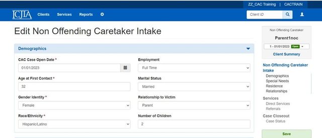 Non-Offending Caretaker Demographics